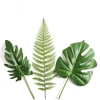 Đạo cụ chụp ảnh - Phụ kiện decor lá cây giá chỉ 15.000đ, tạo nền sinh động cho studio 9