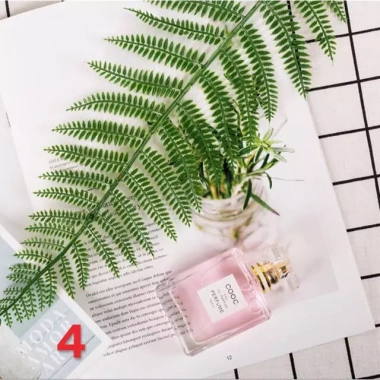 Đạo cụ chụp ảnh - Phụ kiện decor lá cây giá chỉ 15.000đ, tạo nền sinh động cho studio