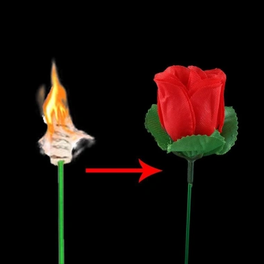 Đạo cụ ma thuật ADAMESUO Torch to Rose - Quà bất ngờ, thay đổi hoa hồng, giá 31.790₫ 4 Đạo cụ ma thuật ADAMESUO Torch to Rose - Quà bất ngờ, thay đổi hoa hồng, giá 31.790₫ 4