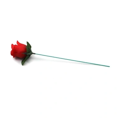 Đạo cụ ma thuật ADAMESUO Torch to Rose - Quà bất ngờ, thay đổi hoa hồng, giá 31.790₫ 5 Đạo cụ ma thuật ADAMESUO Torch to Rose - Quà bất ngờ, thay đổi hoa hồng, giá 31.790₫ 5