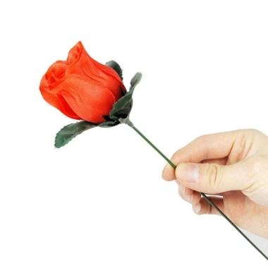 Đạo cụ ma thuật ADAMESUO Torch to Rose - Quà bất ngờ, thay đổi hoa hồng, giá 31.790₫ 10 Đạo cụ ma thuật ADAMESUO Torch to Rose - Quà bất ngờ, thay đổi hoa hồng, giá 31.790₫ 10