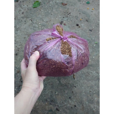 Đất phân cây cảnh hoa kiểng 1kg - Dinh dưỡng cao, tăng rễ nhanh, Giá 18.000 VND 4