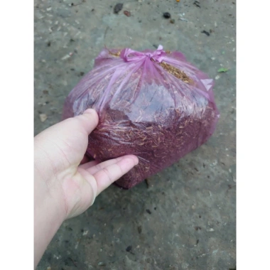 Đất phân cây cảnh hoa kiểng 1kg - Dinh dưỡng cao, tăng rễ nhanh, Giá 18.000 VND 6
