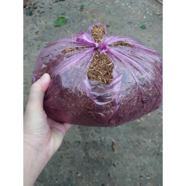 Đất phân cây cảnh hoa kiểng 1kg - Dinh dưỡng cao, tăng rễ nhanh, Giá 18.000 VND 7