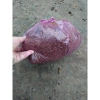 Đất phân cây cảnh hoa kiểng 1kg - Dinh dưỡng cao, tăng rễ nhanh, Giá 18.000 VND 8