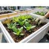 Đất trồng rau trộn sẵn - Dinh dưỡng cao, hỗ trợ ươm hạt & trồng thùng xốp, 13.900₫ 3