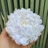 Đầu bông hoa Cúc Đại Doa lớn, trang trí Tết - Giảm giá, chỉ 20.000đ 7
