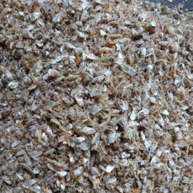 Đầu Cá Cơm giảm còn 95,000 VNĐ - Cá Cơm tươi ngon, giàu dinh dưỡng, giá tốt