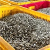 Đầu Cá Cơm giảm còn 95,000 VNĐ - Cá Cơm tươi ngon, giàu dinh dưỡng, giá tốt 3