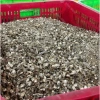 Đầu Cá Cơm giảm còn 95,000 VNĐ - Cá Cơm tươi ngon, giàu dinh dưỡng, giá tốt 4