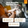 Dầu Cá Hồi ZESTY PAWS 237ml - Dưỡng Da Lông Cho Chó Mèo, Giá Ưu Đãi 519.000₫ USA 4