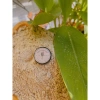 Dầu Cám Gạo Thủ Công Nguyên Chất - Dưỡng ẩm da khô, da nhạy cảm, giảm giá 25% chỉ 75.000 VND 8