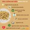 Đầu cuống hạt điều rang mộc OCasso 500g - Mầm điều, mộng điều, cồi điều, giá chỉ 120.000đ 8