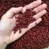 Đậu Đỏ 500g Hoàng Phương - Hạt đỗ đỏ tốt cho sức khỏe, nấu chè, giá 9.750đ 5