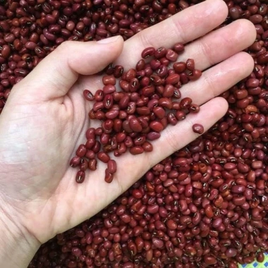 Đậu Đỏ 500g Hoàng Phương - Hạt đỗ đỏ tốt cho sức khỏe, nấu chè, giá 9.750đ