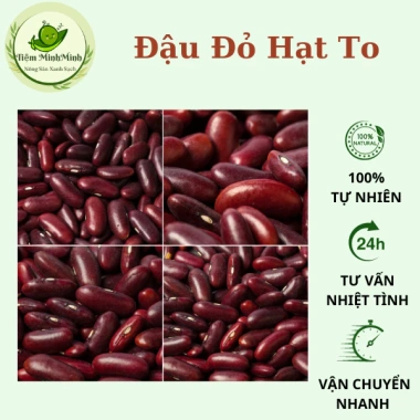 Đậu đỏ hữu cơ hạt to 200g-500g - Ngũ cốc nấu bở, làm bánh, giá ưu đãi 27.450₫