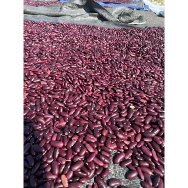 Đậu đỏ hữu cơ hạt to 200g-500g - Ngũ cốc nấu bở, làm bánh, giá ưu đãi 27.450₫