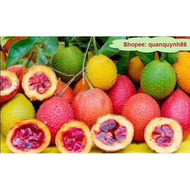 Dầu Gấc Ép Lạnh 300ml 100% Siêu Đậm Đặc Giá Ưu Đãi 180.000 VNĐ
