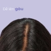 Dầu Gội BC Anti Dandruff 250ml - Chống Gàu Hiệu Quả, Giá Ưu Đãi 398.000₫ 4