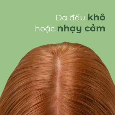 Dầu Gội BC Scalp Soothing 250ml - Dịu Nhẹ Da Đầu, Giảm Ngứa, Dưỡng ẩm, Giá 398k 3 Dầu Gội BC Scalp Soothing 250ml - Dịu Nhẹ Da Đầu, Giảm Ngứa, Dưỡng ẩm, Giá 398k 3