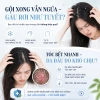 Dầu Gội CANOVA RIVESCAL DS - Sạch Gàu, Trị Nấm Da Đầu, Giảm Ngứa và Rụng Tóc, Giá 500k (Giảm 140k) 3