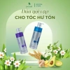 Dầu gội cặp Furunshi Collagen Silky cho tóc hư tổn - Giá ưu đãi 800.000đ 3