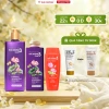 Dầu gội dược liệu Thái Dương 3 200/330/500ml - Giải quyết tóc gàu, ngứa, giảm gàu nhanh