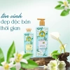 Dầu gội dược liệu Thái Dương 7 Gold bưởi tây 500ml tặng tuýp 7 Plus 50ml, giá chỉ 270.000đ 4