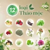 Dầu Gội Fresh Thảo Mộc Dưỡng Sinh 480g – Dưỡng tóc tự nhiên, giảm gàu, giá ưu đãi 153k 3