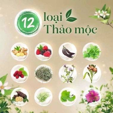 Dầu Gội Fresh Thảo Mộc Dưỡng Sinh 480g – Dưỡng tóc tự nhiên, giảm gàu, giá ưu đãi 153k 3