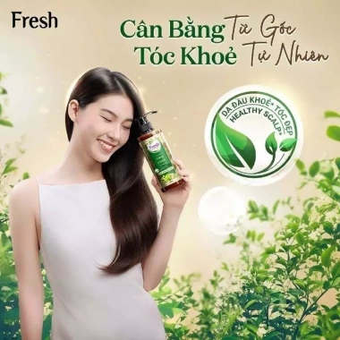 Dầu Gội Fresh Thảo Mộc Dưỡng Sinh 480g – Dưỡng tóc tự nhiên, giảm gàu, giá ưu đãi 153k 5