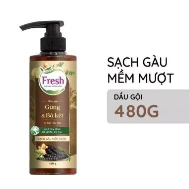 Dầu Gội Fresh Thảo Mộc Dưỡng Sinh 480g – Dưỡng tóc tự nhiên, giảm gàu, giá ưu đãi 153k 7