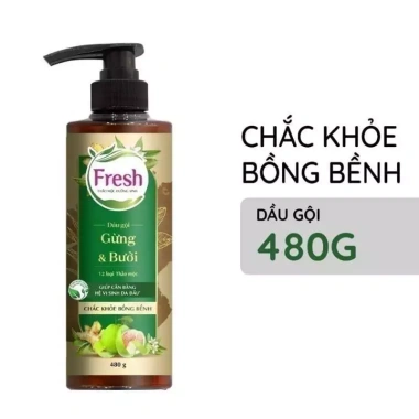 Dầu Gội Fresh Thảo Mộc Dưỡng Sinh 480g – Dưỡng tóc tự nhiên, giảm gàu, giá ưu đãi 153k 8
