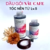 Dầu gội giữ màu & bù màu Coco cho tóc nhuộm, tẩy – Bảo vệ màu lâu, giá chỉ 145.000₫ 7