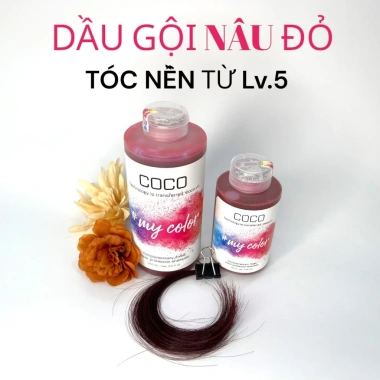 Dầu gội giữ màu & bù màu Coco cho tóc nhuộm, tẩy – Bảo vệ màu lâu, giá chỉ 145.000₫