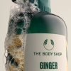 Dầu Gội Gừng The Body Shop Giảm Gàu, Dưỡng Da Đầu, Giá Ưu Đãi 318.999₫ 2
