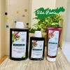 Dầu gội Klorane Pháp ngừa ngứa rụng tóc, bảo vệ & phục hồi tóc hư tổn - 359.000đ 6