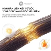 Dầu gội Mixrs 3 trong 1 nuôi dưỡng, kiềm dầu, phục hồi nang tóc, hương nước hoa cao cấp 500/800ml - giảm còn 250k 4