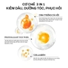 Dầu gội Mixrs 3 trong 1 nuôi dưỡng, kiềm dầu, phục hồi nang tóc, hương nước hoa cao cấp 500/800ml - giảm còn 250k 8