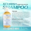 Dầu Gội Nuôi Nang Tóc Dưỡng Dày Giảm Rụng Giá 310.000 VND Khuyến Mãi 5
