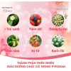 Dầu Gội Phủ Bạc Thảo Dược Pyeonan Hàn Quốc 30g Nhuộm Tóc Nhanh, Không Hại Da Đầu, Hộp 5 Gói 3