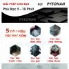 Dầu Gội Phủ Bạc Thảo Dược Pyeonan Hàn Quốc 30g Nhuộm Tóc Nhanh, Không Hại Da Đầu, Hộp 5 Gói 5