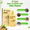 Dầu Gội sCare Sạch Gàu - Giảm Gàu, Bong Tróc, Ngứa, Nấm Da Đầu, Dược Liệu 219k 2