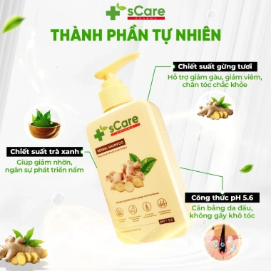 Dầu Gội sCare Sạch Gàu - Giảm Gàu, Bong Tróc, Ngứa, Nấm Da Đầu, Dược Liệu 219k 3