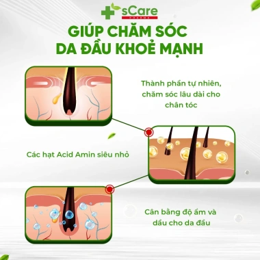 Dầu Gội sCare Sạch Gàu - Giảm Gàu, Bong Tróc, Ngứa, Nấm Da Đầu, Dược Liệu 219k 4