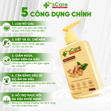 Dầu Gội sCare Sạch Gàu - Giảm Gàu, Bong Tróc, Ngứa, Nấm Da Đầu, Dược Liệu 219k 7