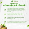 Dầu Gội sCare Sạch Gàu - Giảm Gàu, Bong Tróc, Ngứa, Nấm Da Đầu, Dược Liệu 219k 8