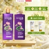 Dầu gội Thái Dương 3 GOLD Hoa Sen 500ml + Dầu xả 333ml, tặng Tube 7 Plus Gold 50g giảm 20%