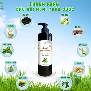 Dầu gội thảo dược Adeva Noni - Giảm gàu, ngừa rụng, tóc bềnh mềm mượt, chỉ 165k