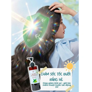 Dầu gội thảo dược Adeva Noni - Giảm gàu, ngừa rụng, tóc bềnh mềm mượt, chỉ 165k